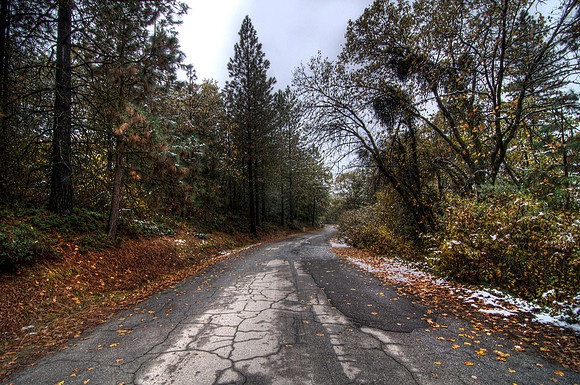 Sequoia National Forest - California
