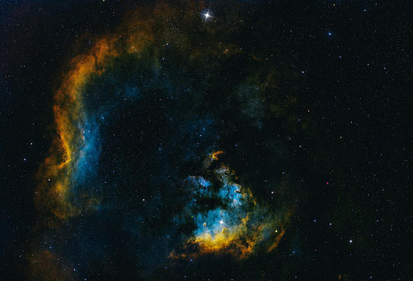 NGC-7822 - The Teddy Bear Nebula