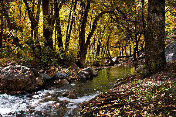 Upper Kern River Contributor - Kern California