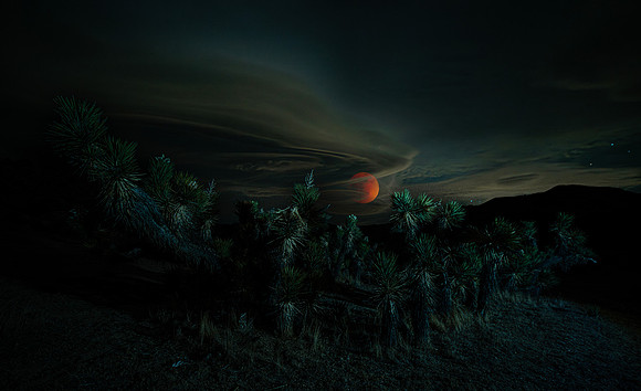 Wolf Moon - Kelso Valley Califonia