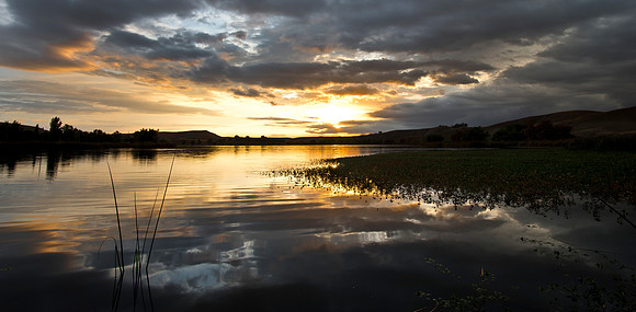 Ming Lake - Bakersfield California