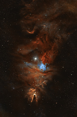 NGC2264 - Cone Nebula