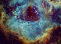 NGC2237 -  The Zoo within the Rosette nebula