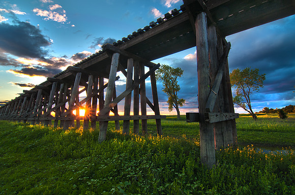 Train Trestle - Woodland California