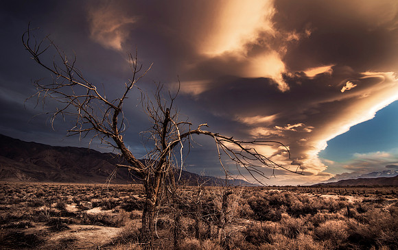 Lone Pine California