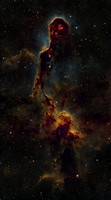 IC-1396 - Elephant Trunk Nebula