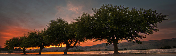 Ming Lake - Bakersfield California