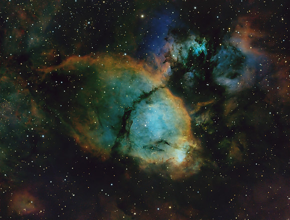IC1795 - Fish head