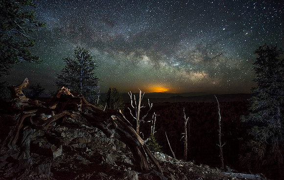 Schulman Grove - Bristlecone National Park California