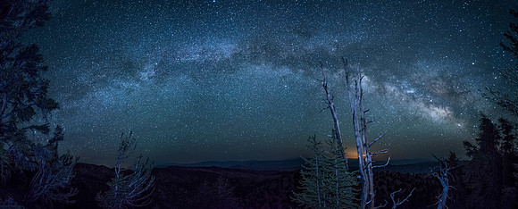 Schulman Grove - Bristlecone National Park California