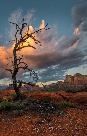 Sedona Arizona