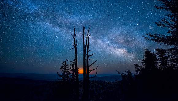 Schulman Grove - Bristlecone National Park California