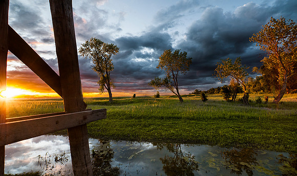 Train Trestle - Woodland California