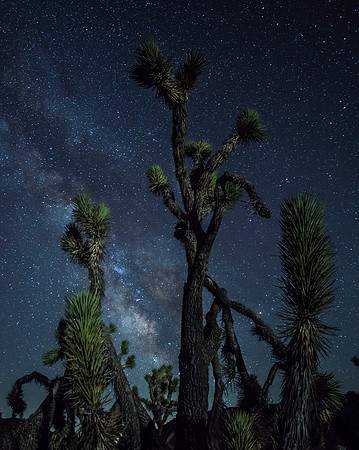 Walker Pass - Kern County California