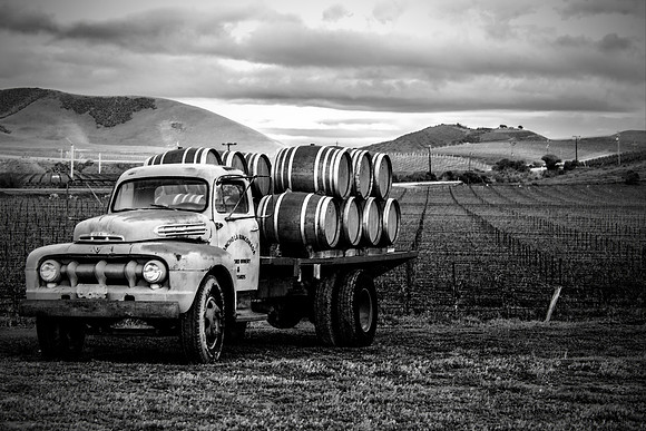 La Rinconada Vineyard -  Paso Robles California