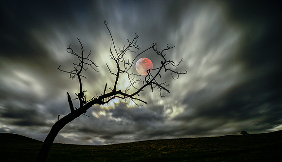 Blood Moon - Breckenridge Mountain - Kern County California
