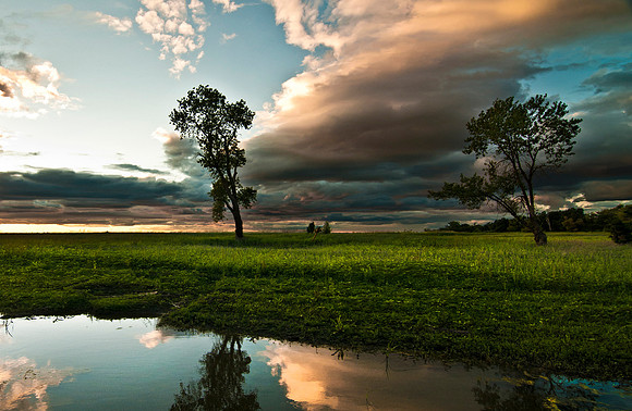 Sunset in Woodland California