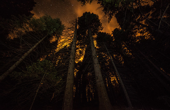 Yosemite California