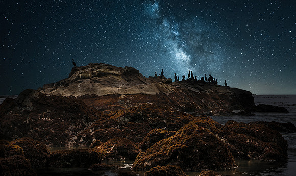 California central coast