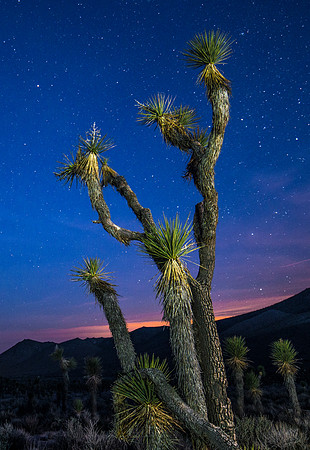 Walker Pass - Kern County California