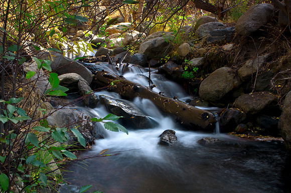 Bull Run - Upper Kern - Johnsondale California
