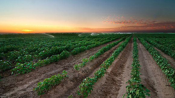 Irrigation - Bakersfield California