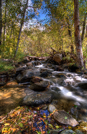 Upper Kern River - Kern California