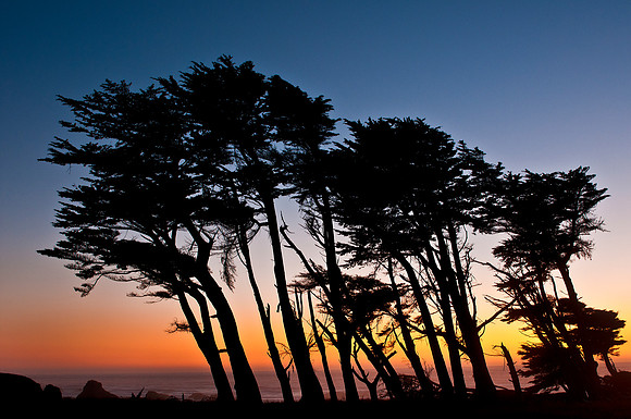 Fort Bragg California