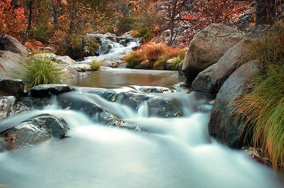 Brush Creek- Upper Kern River - Johnsondale California