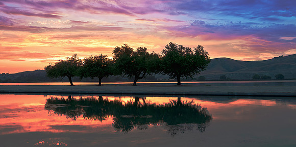 Cuatro Arboles - Lake Ming - Bakersfield California