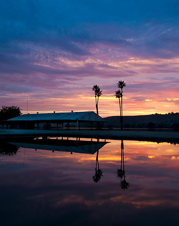 Ming Lake - Bakersfield California