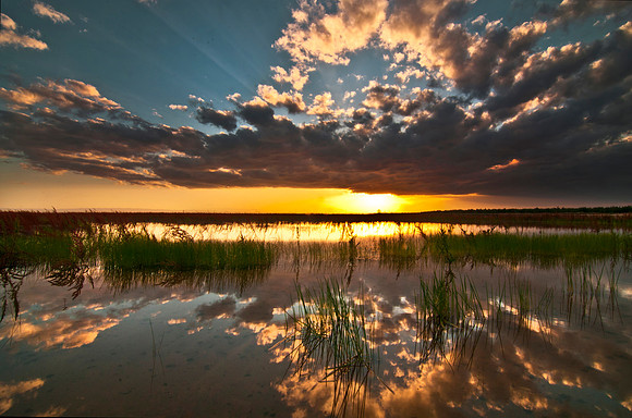 Bakersfield California