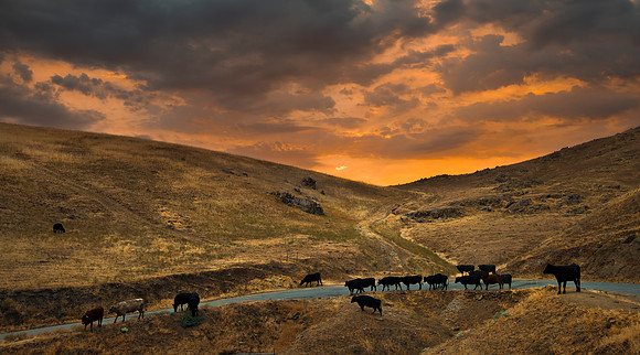 Brekenridge Road - Bakersfield California