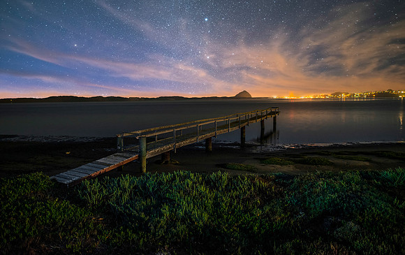 The Green Cottage - Los Osos California