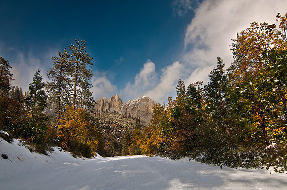 The Needles 5700 feet up in the Sequoia National Forrest