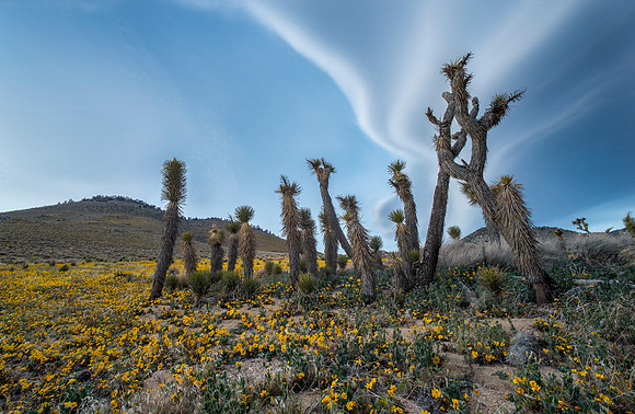 Walker Pass - Kern County California